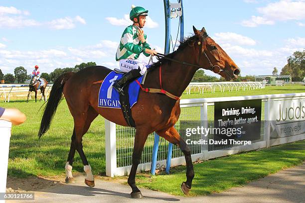 Junuh ridden by Lachlan King returns to the mounting yard after winning Yarrawonga Manufactured Housing BM64 Handicap on December 17, 2016 in...
