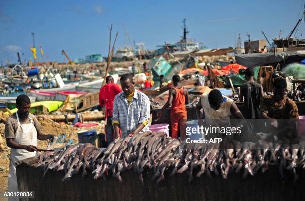 Somali vendors prepare fish for sale at Bosaso beach in Puntland northeastern Somalia, on December 17, 2016. Fishermen bring fish to the market for...