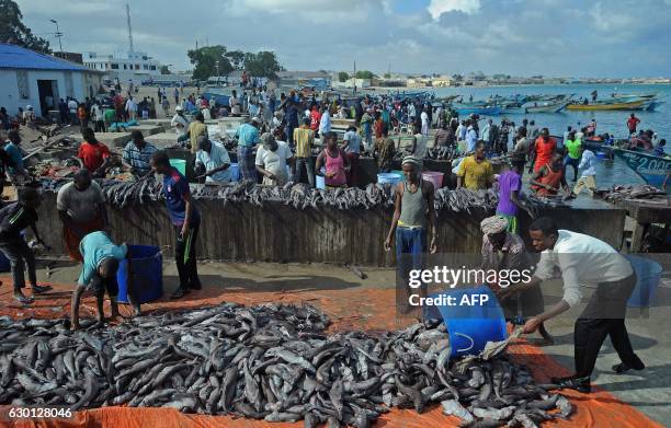 Somali vendors offload a catch from fishing boats at Bosaso beach in Puntland northeastern Somalia, on December 17, 2016. - Fishermen bring fish to...