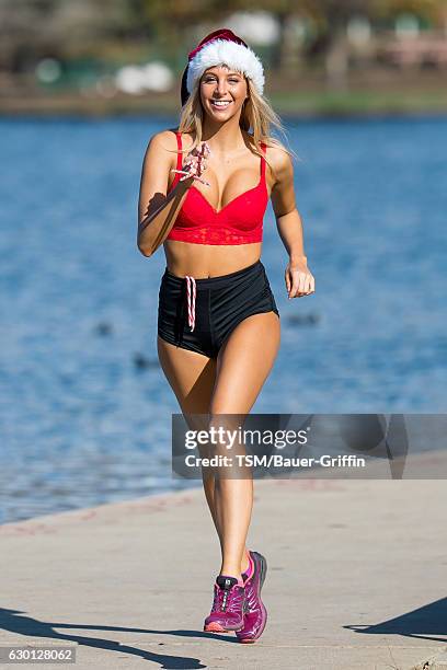 Bri Teresi is seen on December 16, 2016 in Los Angeles, California.