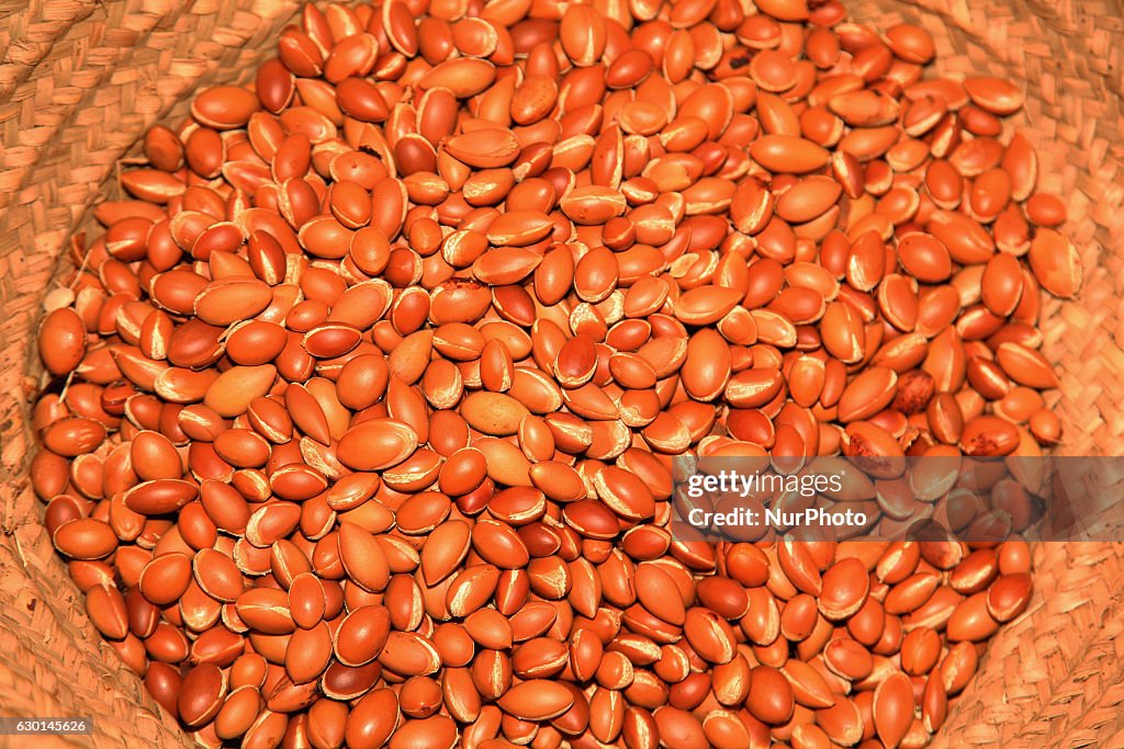 Argan oil production in Morocco