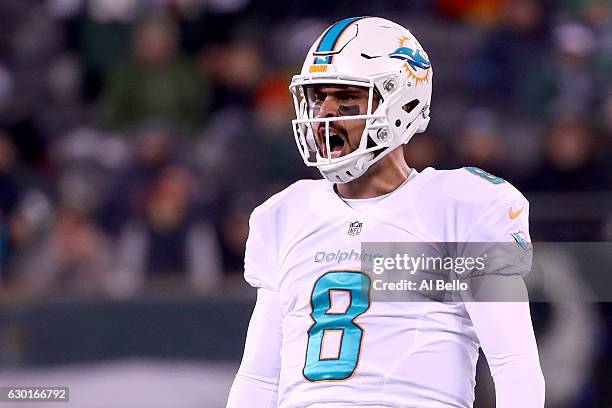 Matt Moore of the Miami Dolphins celebrates after throwing a 52 yard touchdown pass to Kenny Stills against the New York Jets during the second...