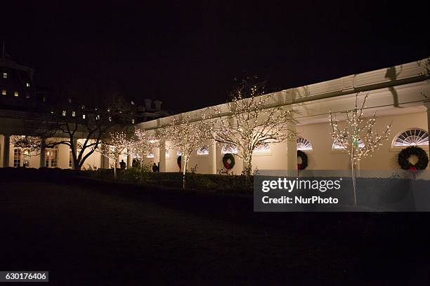 The Rose Garden of the White House in Washington, DC on December 16, 2016 is decorated for the holidays.