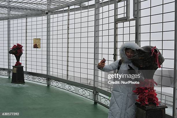 Photo taken from the Dragon tower,a supertall skyscraper under construction at the Nangang district, shows the city being shrouded in heavy smog on...