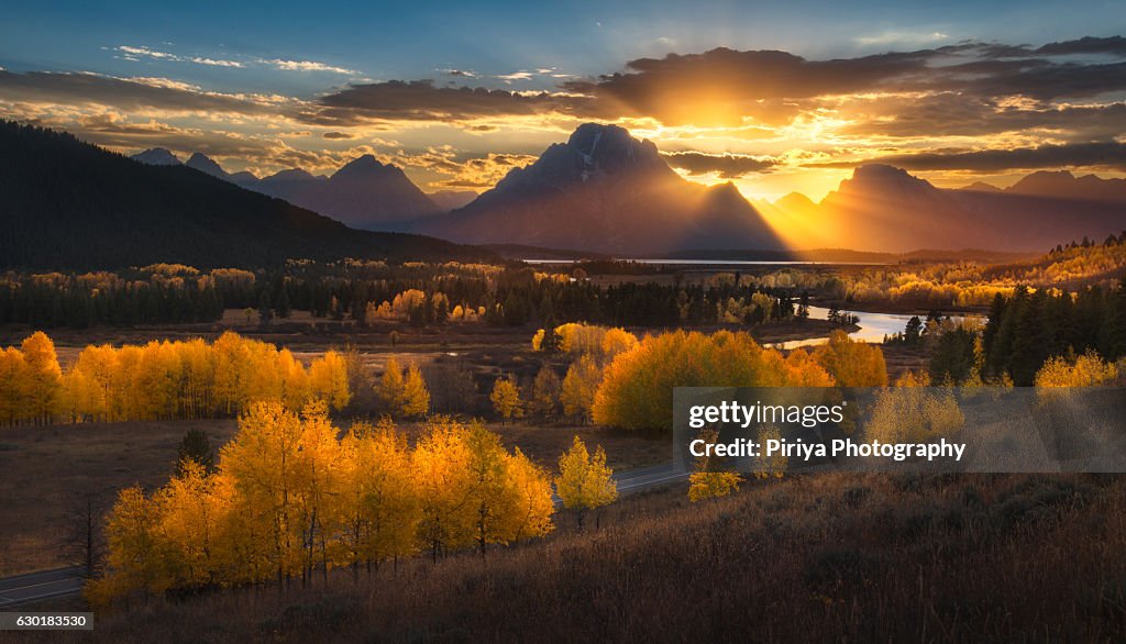 Gold Grand Teton