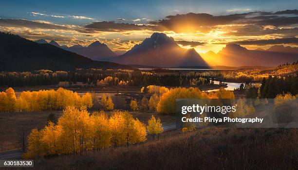 gold grand teton - grand teton national park - fotografias e filmes do acervo