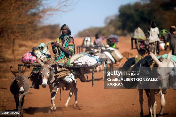 Woman rides a donkey as nomad families from the Misseryia area in Abyei region migrate from north on December 18, 2016. - The beginning of the dry...