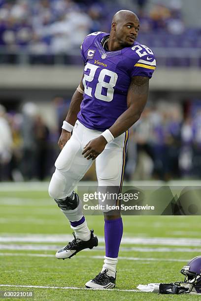 Minnesota Vikings Running Back Adrian Peterson warms up prior to an NFL football game between the Indianapolis Colts and the Minnesota Vikings on...