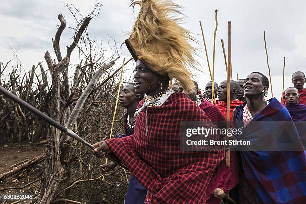 Masai coming-of-age ceremony in a remote Masai village in Loliondo, Northern Tanzania on November 2, 2012. Two of the young warriors in this ceremony...