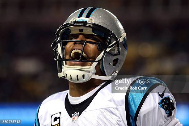 Quarterback Cam Newton of the Carolina Panthers celebrates after throwing a first quarter touchdown to teammate wide receiver Ted Ginn against the...