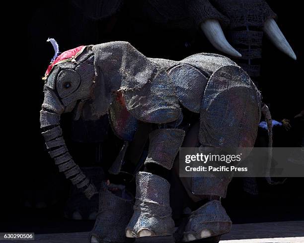 The largest-ever performing African elephant calf puppet Peanut pictured parading at the Sydney Opera House. Part of the CIRCUS 1903 troupe ahead of...