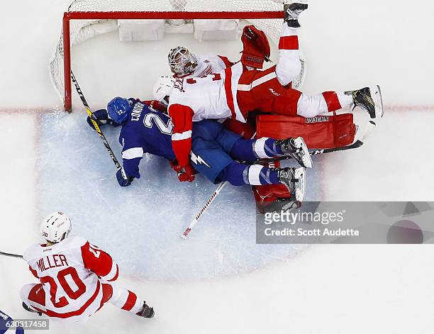 Erik Condra of the Tampa Bay Lightning and Nick Jensen of the Detroit Red Wings land on goalie Jimmy Howard during the second period at Amalie Arena...