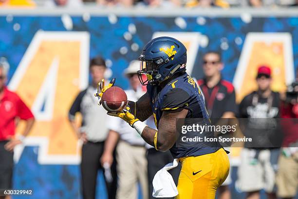 Rushell Shell Rushel Shell Photos and Premium High Res Pictures - Getty Images