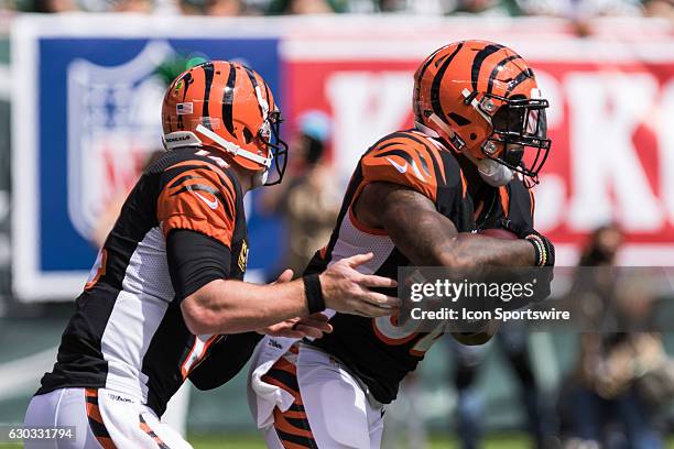 Cincinnati Bengals Quarterback Andy Dalton [15516] hands off to Cincinnati Bengals Running Back Jeremy Hill [11554] during the New York Jets home...