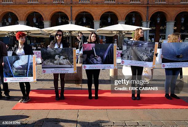 Activists of animal rights association L214 hold banners during a gathering to ask for the suppression of the force-feeding of ducks and Foie gras,...