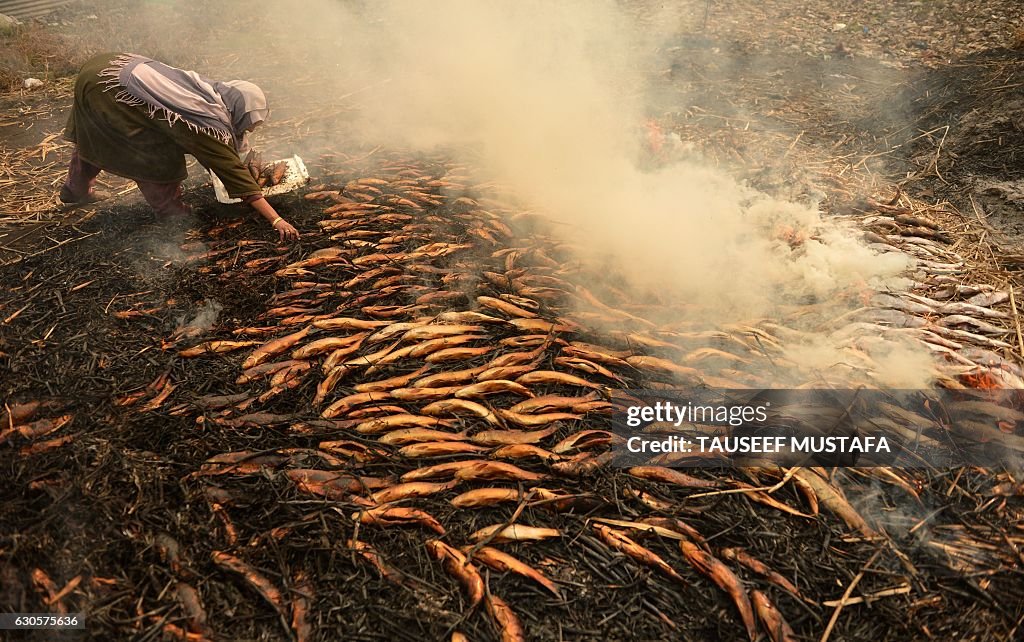 INDIA-KASHMIR-ECONOMY-AGRICULTURE