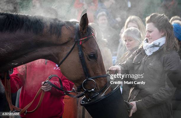 Horses is given water in the parade ground following the first race during the 2016 Coral Welsh Grand National at Chepstow Racecourse on December 27,...