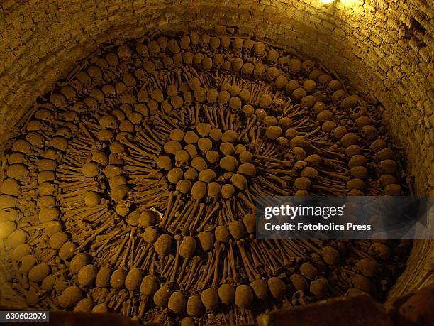 The Catacombs is one of the oldest and most famous cemeteries located in Lima, dating from the 17th century. It consists of a network of underground...