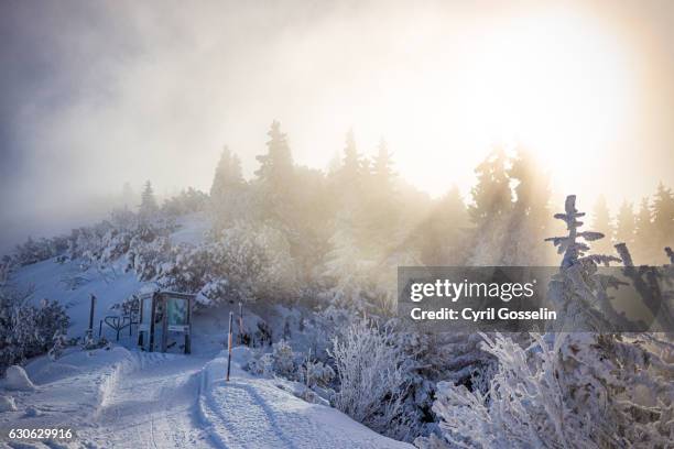 foggy sunrise at fahrenberg mountain summit - berg schnee stock pictures, royalty-free photos & images