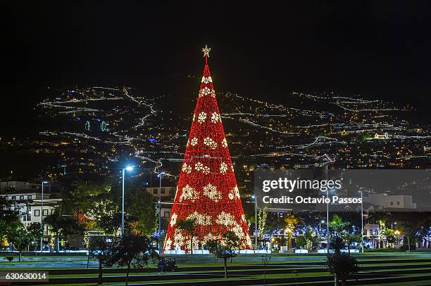 General view of one Christmas tree of lights on December 29, 2016 in Funchal, Madeira, Portugal.