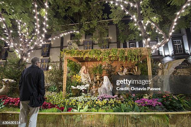 One man looks for the Christmas crib set up in Funchal on December 29, 2016 in Funchal, Madeira, Portugal.
