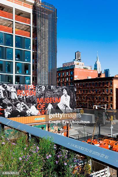 New York, Manhattan, section of the Chelsea Grasslands on the High Line linear park on a disused elevated railroad spur called the West Side with a...