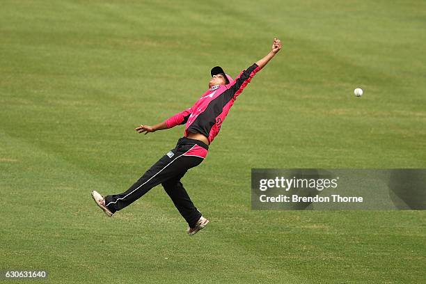 Lisa Sthalekar of the Sixers drops a catch during the WBBL match between the Sixers and Hurricanes at Hurstville Oval on December 29, 2016 in Sydney,...