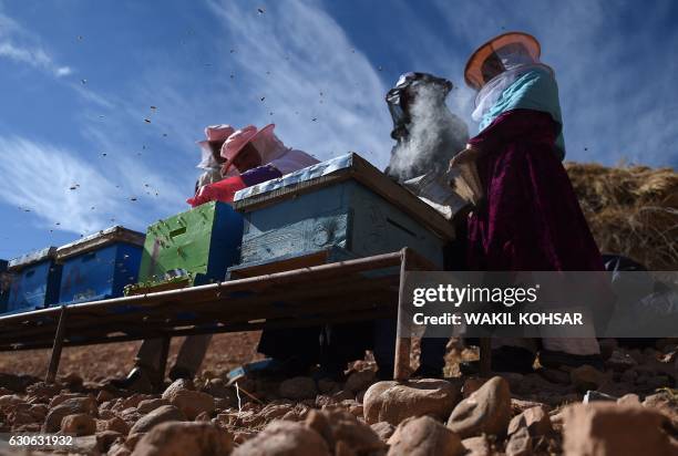 In this photograph taken on November 5 Afghan Hazara women beekeepers check beehives as they work at a bee farm in the Yakawlang District of Bamiyan...