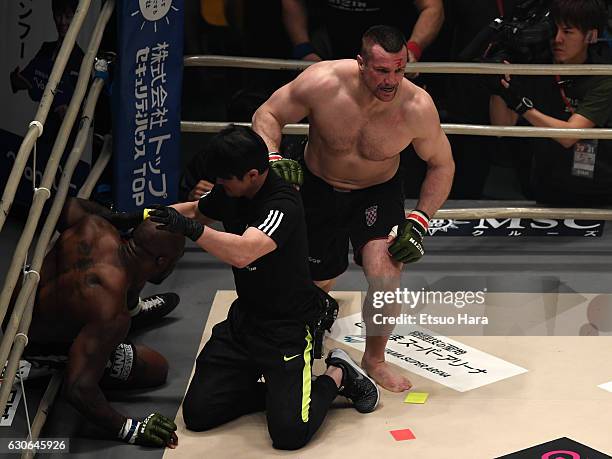518 Mirko Cro Cop Photos & High Res Pictures - Getty Images