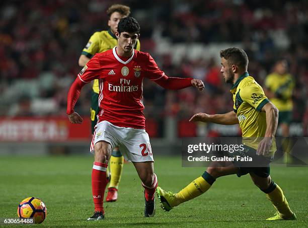 Benfica midfielder Goncalo Guedes with Pacos Ferreira's midfielder Pedrinho Moreira from Portugal in action during the Primeira Liga match between SL...