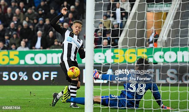 Dwight Gayle of Newcastle scores the third Newcastle goal during the Sky Bet Championship match between Newcastle United and Nottingham Forest at St...