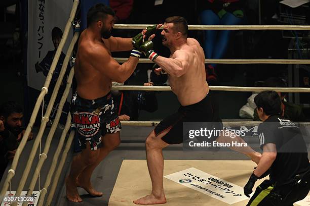 Mirko Cro Cop of Croatia punches Amir Aliakbari of Iran in the Final bout during the RIZIN Fighting World GP 2016 final round at Saitama Super Arena...