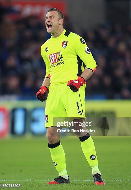 Artur Boruc of AFC Bournemouth celebrates his team's first goal during the Premier League match between Swansea City and AFC Bournemouth at Liberty...