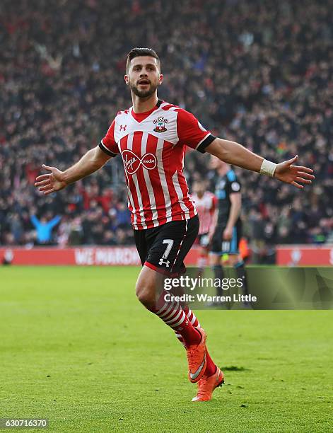 Shane Long of Southampton celebrates scoring the opening goal during the Premier League match between Southampton and West Bromwich Albion at St...