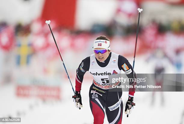 Ingvild Flugstad Oestberg of Norway crosses the finishing line during the women's 5 km C mass start race on January 1, 2017 in Val Mustair,...