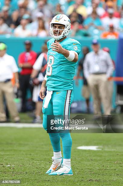 Matt Moore of the Miami Dolphins plays against the New England Patriots at Hard Rock Stadium on January 1, 2017 in Miami Gardens, Florida. The...