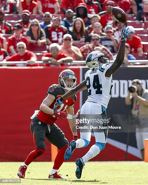 Cornerback James Bradberry of the Carolina Panthers intercepts a pass intended for wide receiver Adam Humphries of the Tampa Bay Buccaneers during...