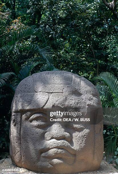 Colossal head, Monument 1, Villahermosa, Tabasco, Mexico. Olmec civilisation, 11th-5th century BC. Villahermosa, Parque-Museo La Venta