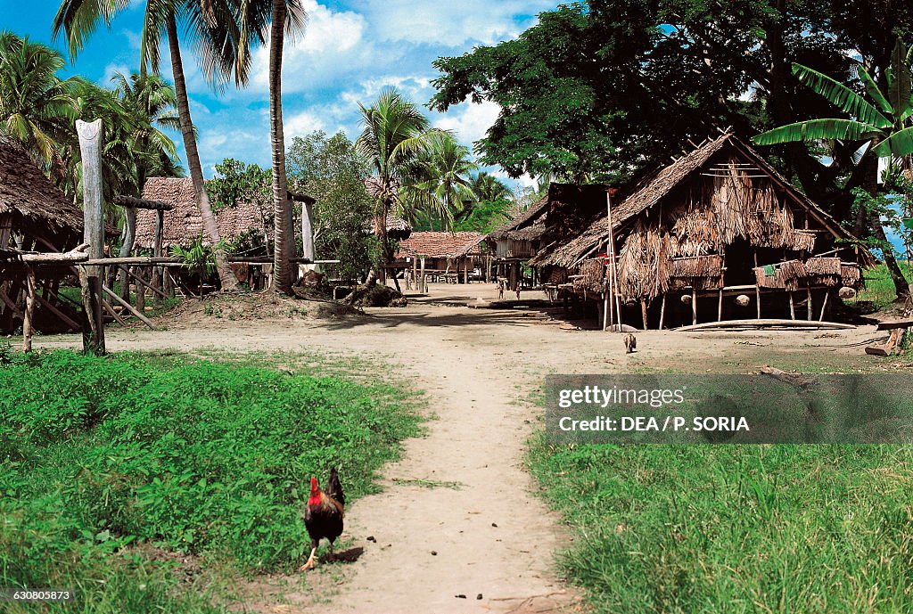Village of Tambonum, near the Sepik River