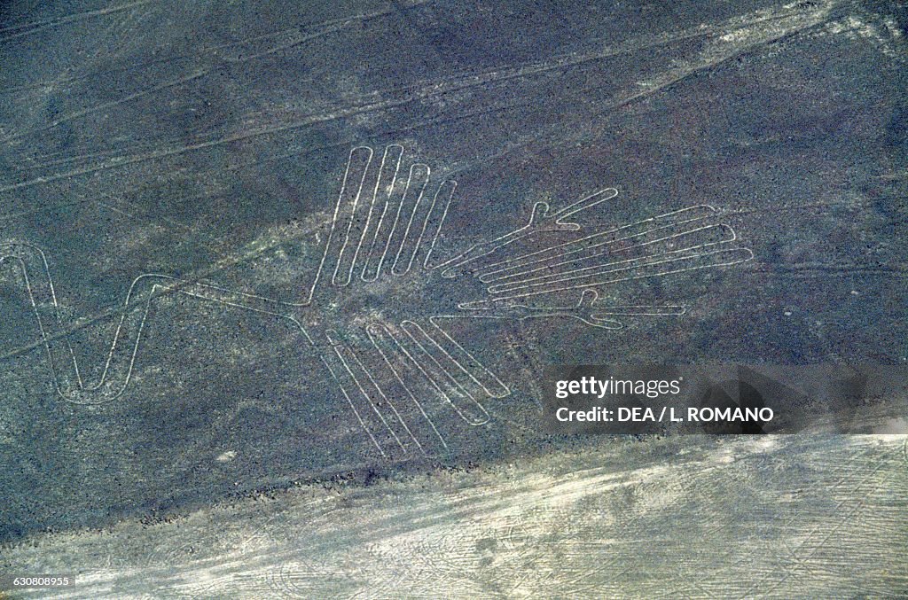 The Condor, Nazca lines , Nazca, Peru, Nazca civilisation. News Photo ...