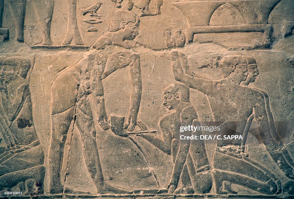 Relief, Mastaba of Mereruka, Saqqara, Memphis