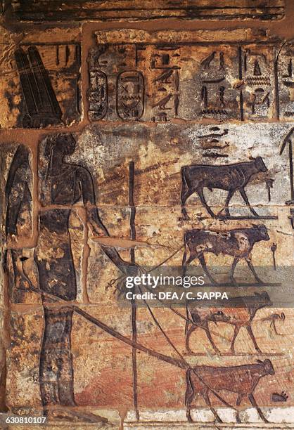 Painted relief of Schepenupet and oxen, Mortuary Temple of Ramesses III, Medinet Habu, Thebes . Egyptian civilisation, New Kingdom, Dynasty XX.