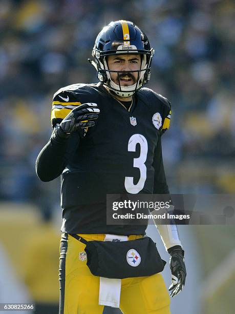 Quarterback Landry Jones of the Pittsburgh Steelers yells instructions to the offense during a game against the Cleveland Browns on January 1, 2017...