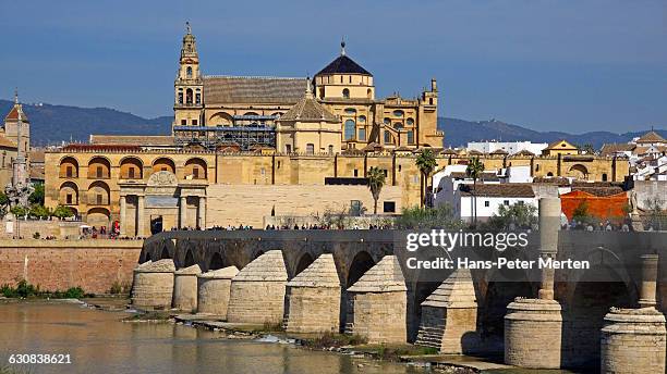 roman bridge and the old city of córdoba - córdoba spanien bildbanksfoton och bilder