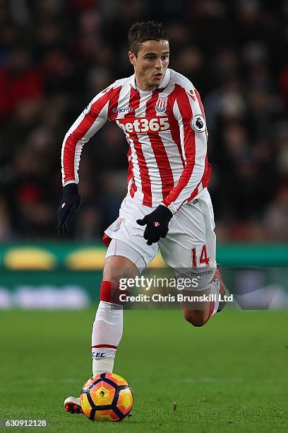 Ibrahim Afellay of Stoke City in action during the Premier League match between Stoke City and Watford at the Bet365 Stadium on January 3, 2017 in...