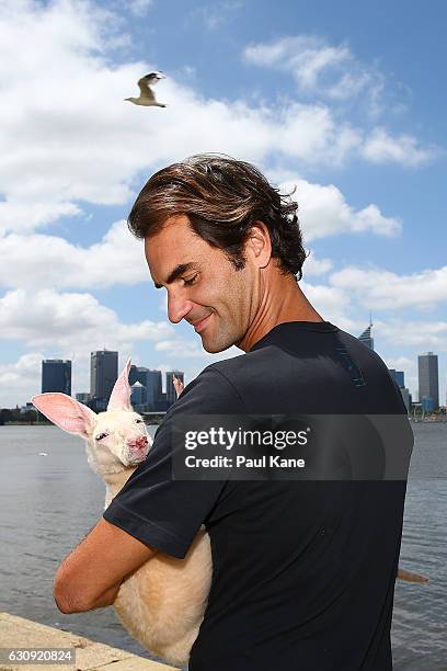 Roger Federer of Switzerland holds Casper, the kangaroo joey at the South Perth foreshore on December 30, 2016 in Perth, Australia.