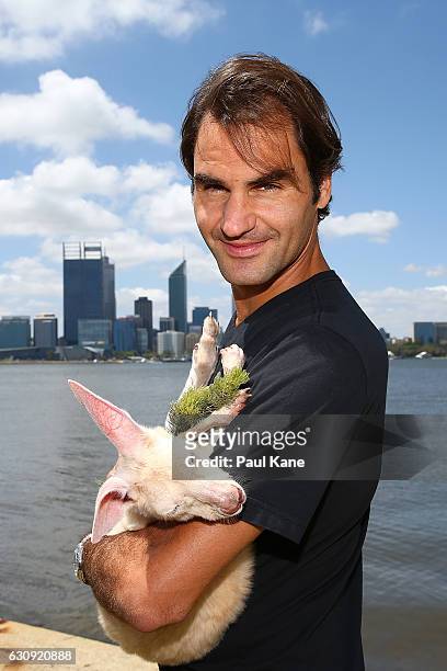 Roger Federer of Switzerland holds Casper, the kangaroo joey at the South Perth foreshore on December 30, 2016 in Perth, Australia.