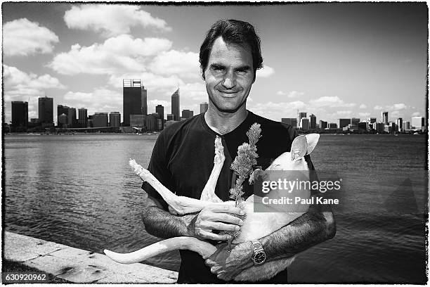 Roger Federer of Switzerland holds Casper, the kangaroo joey at the South Perth foreshore on December 30, 2016 in Perth, Australia.