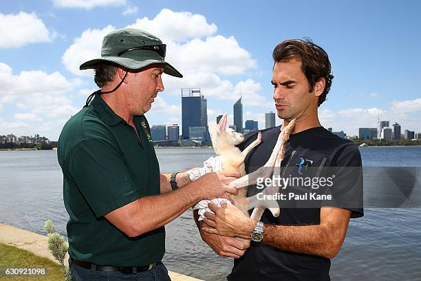 David Thorn of the Caversham Wildlife Park hands Casper the kangaroo joey to Roger Federer of Switzerland at the South Perth foreshore on December...