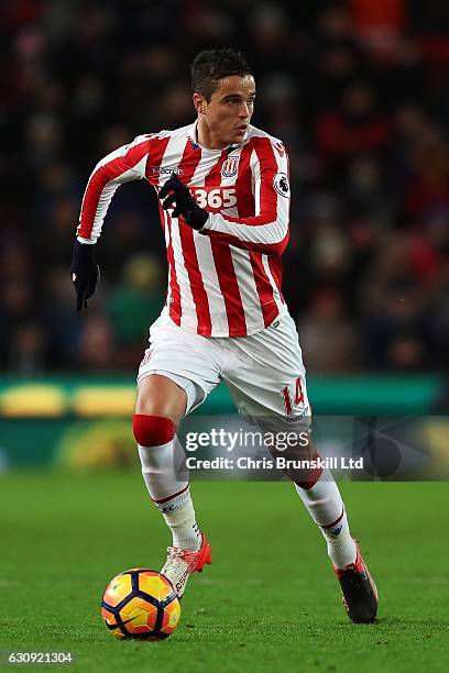 Ibrahim Afellay of Stoke City in action during the Premier League match between Stoke City and Watford at the Bet365 Stadium on January 3, 2017 in...